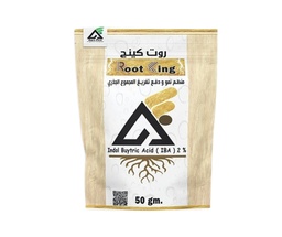 روت كينج